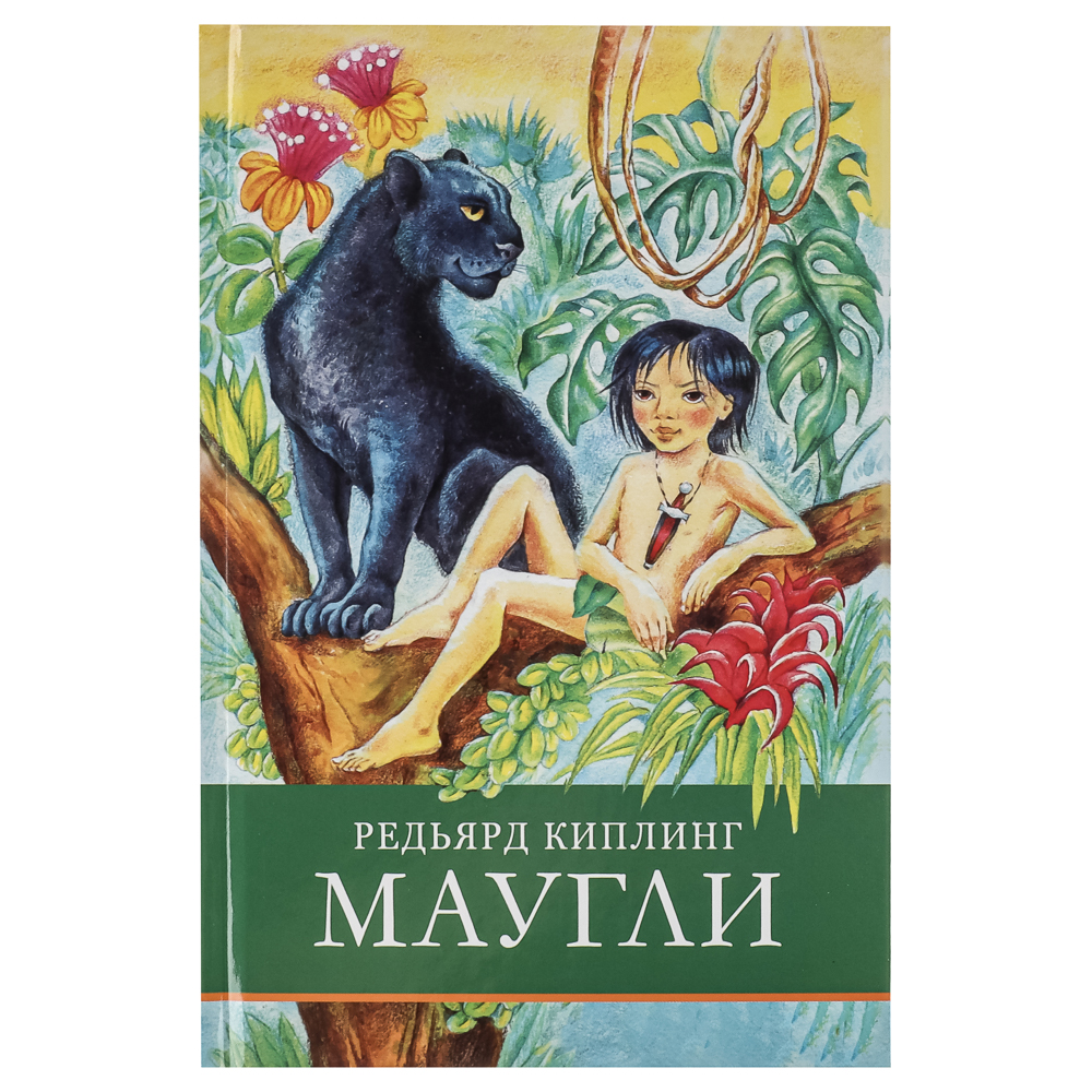 Книжка "Школьная программа", твердый переплет, 21х13,5см, 120-384стр., 5 дизайнов - #8