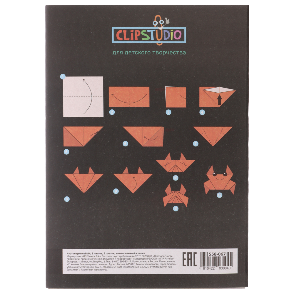 Картон цветной А4, 8 листов, 8 цветов, немелованный в папке - #4