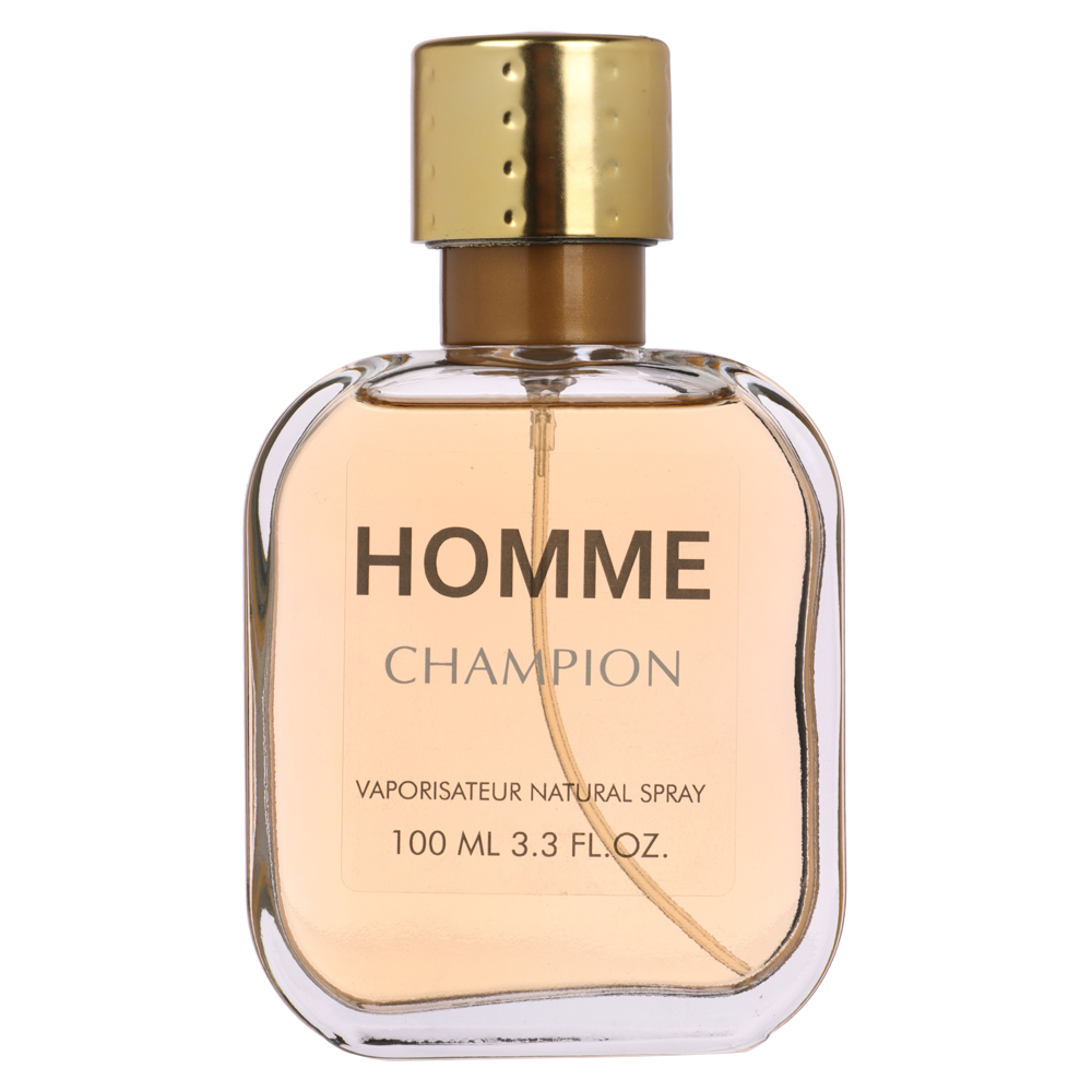 Парфюмерная вода мужская Homme Sport Classic (Хомме Спорт Классик) 4 вида, 100 мл - #3