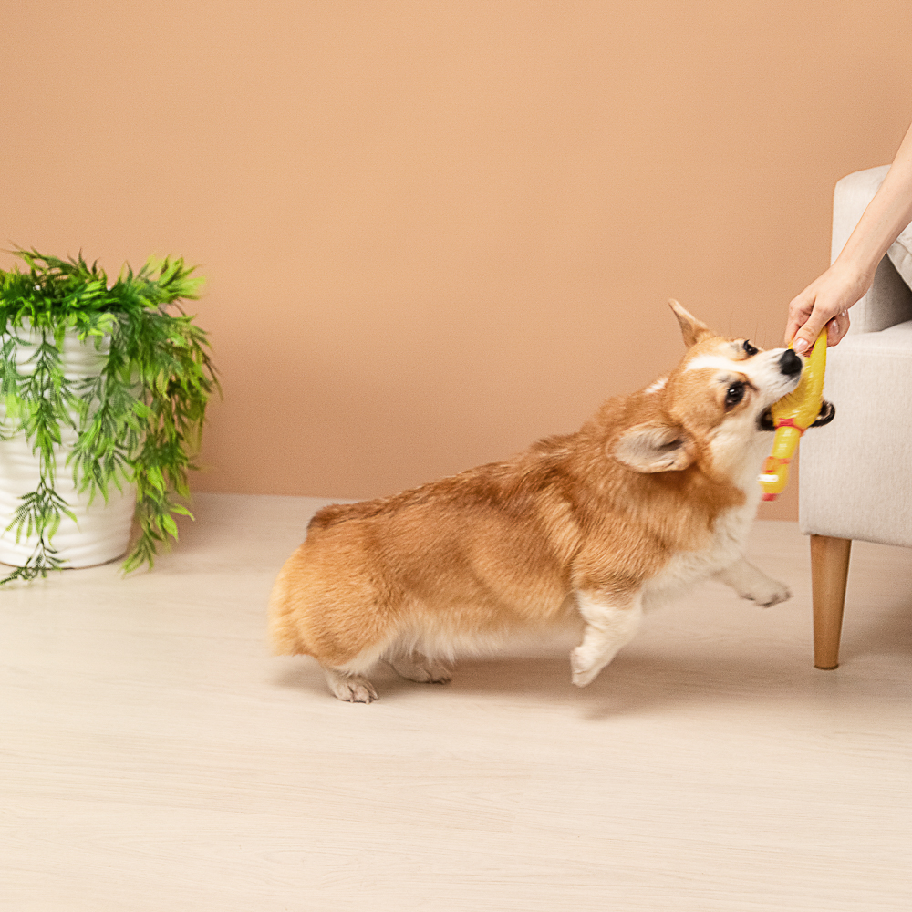 VETTA Игрушка для домашних животных, ПВХ, 25х5 см, курица - #10