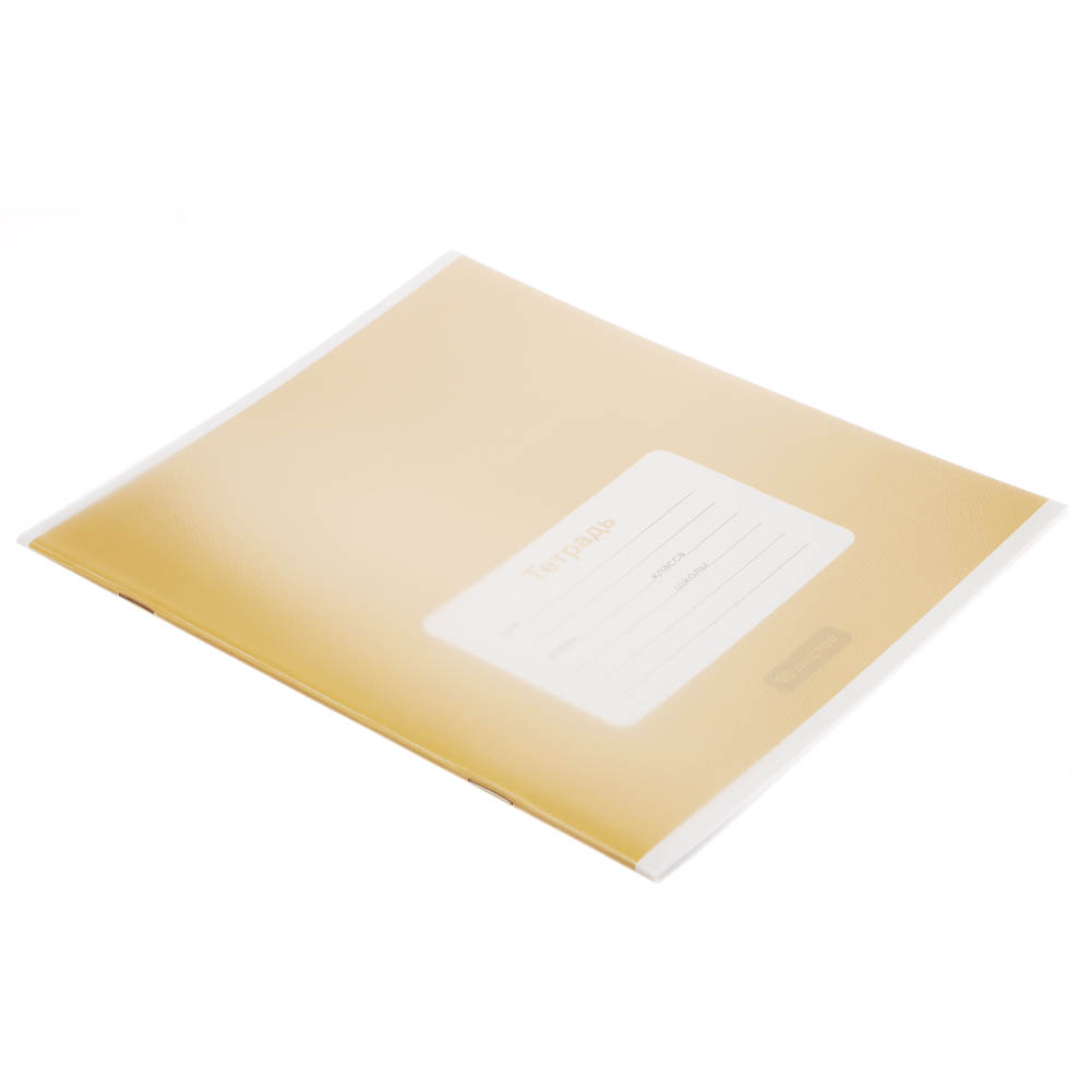 Тетрадь школьная 18л. в линейку ClipStudio, БЕЛЫЕ ЛИСТЫ, обл. пластик, скрепка - #17