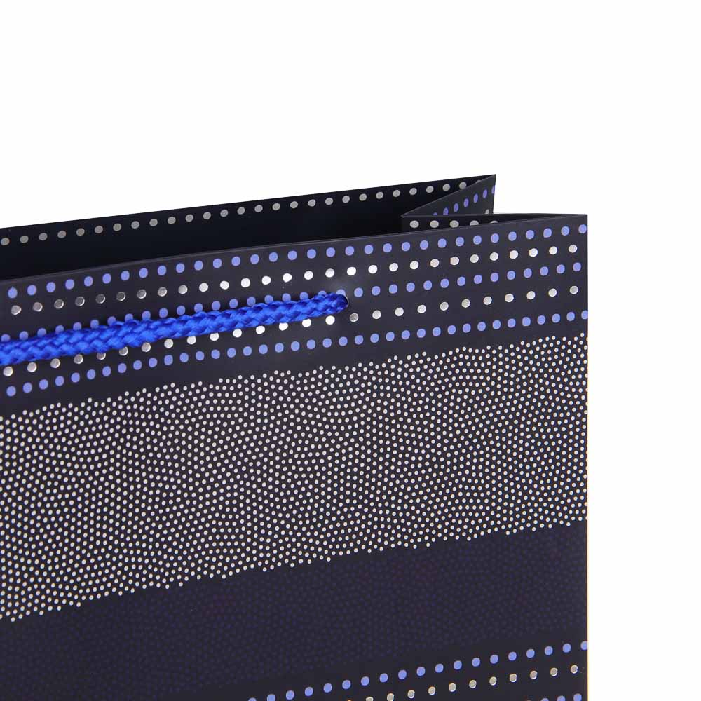 Пакет тм Fntastic подарочный, вскч бум., L 26x32x10см, полосы, 4 дизайна - #3