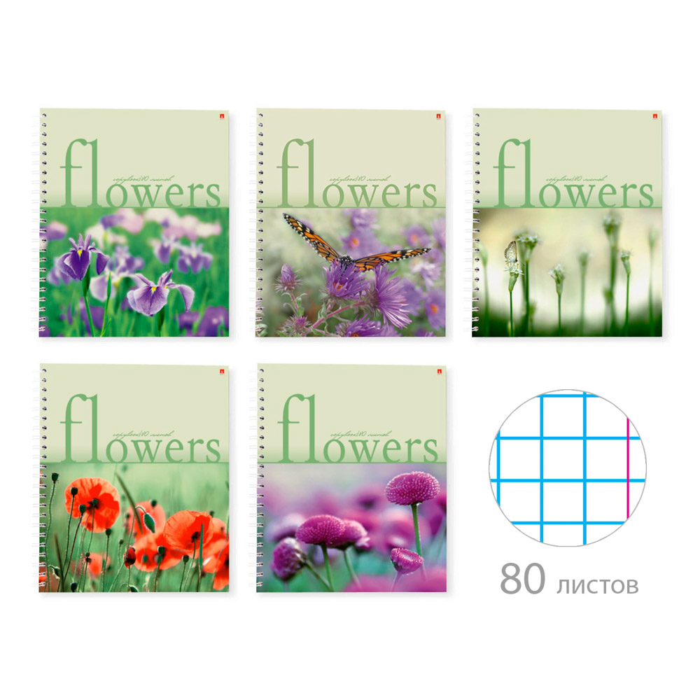 Тетрадь 80л.на спирали в кл., "Цветы, Футбол/Машины", БЕЛЫЕ ЛИСТЫ, обл.картон, 7-80-856,-1111,-128 - #2