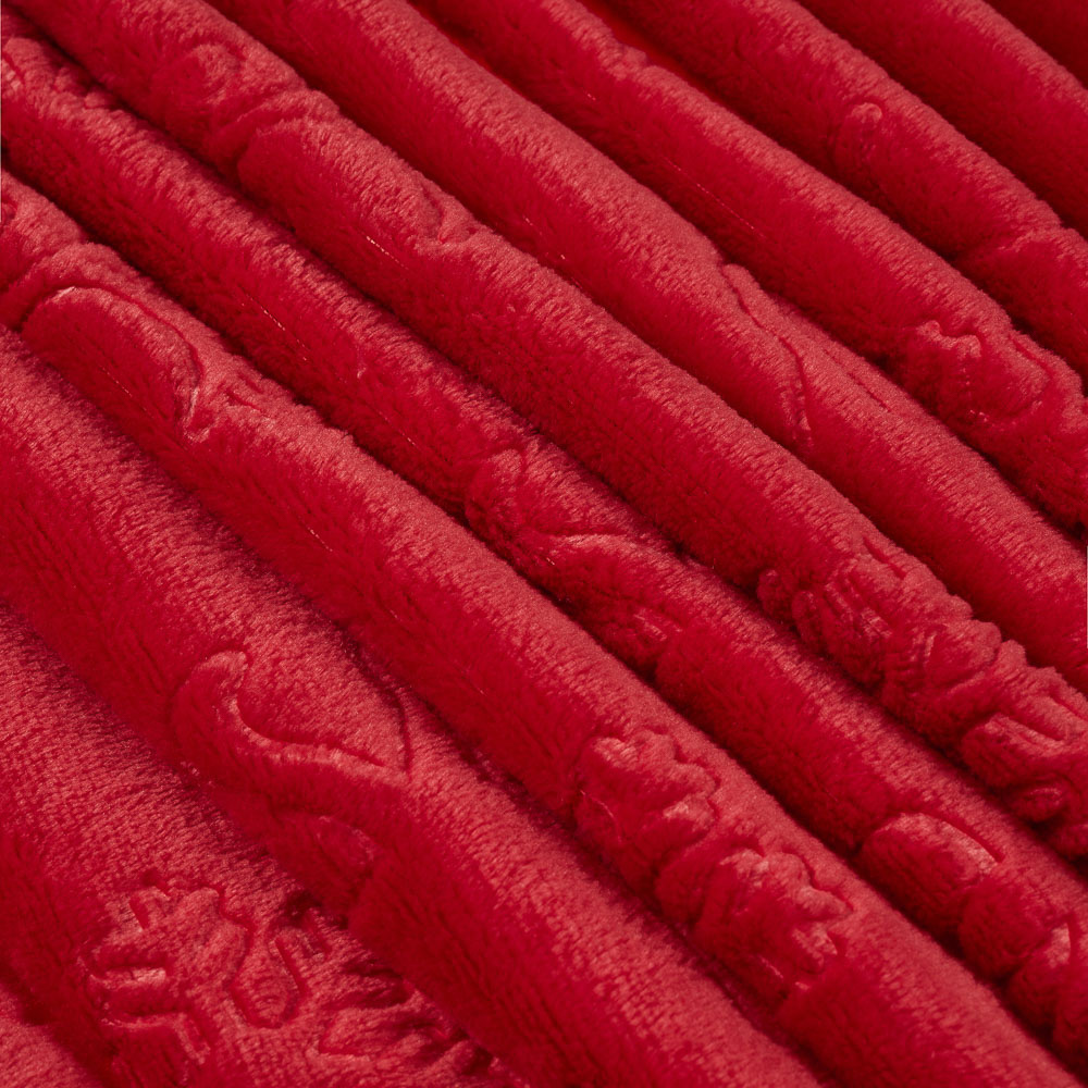 PROVANCE Винтер Плед с сувениром, 130х170см, 100% полиэстер, красный - #3