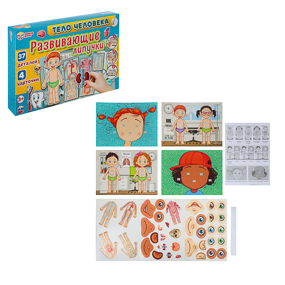 УМКА Развивающая игра "Липучки. Тело человека", в коробке, 28,5x19х3,5см - #3