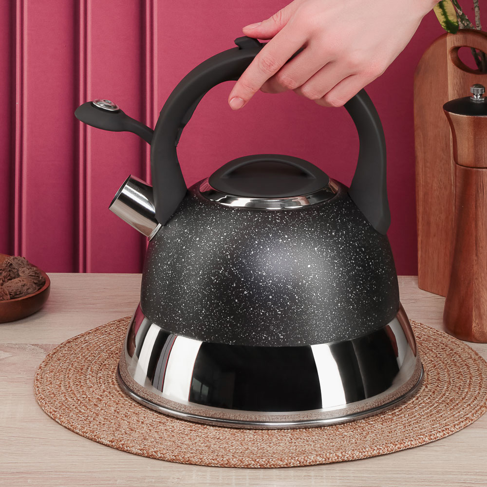 SATOSHI Чайник стальной 2,7л "Гардан", индукция - #9