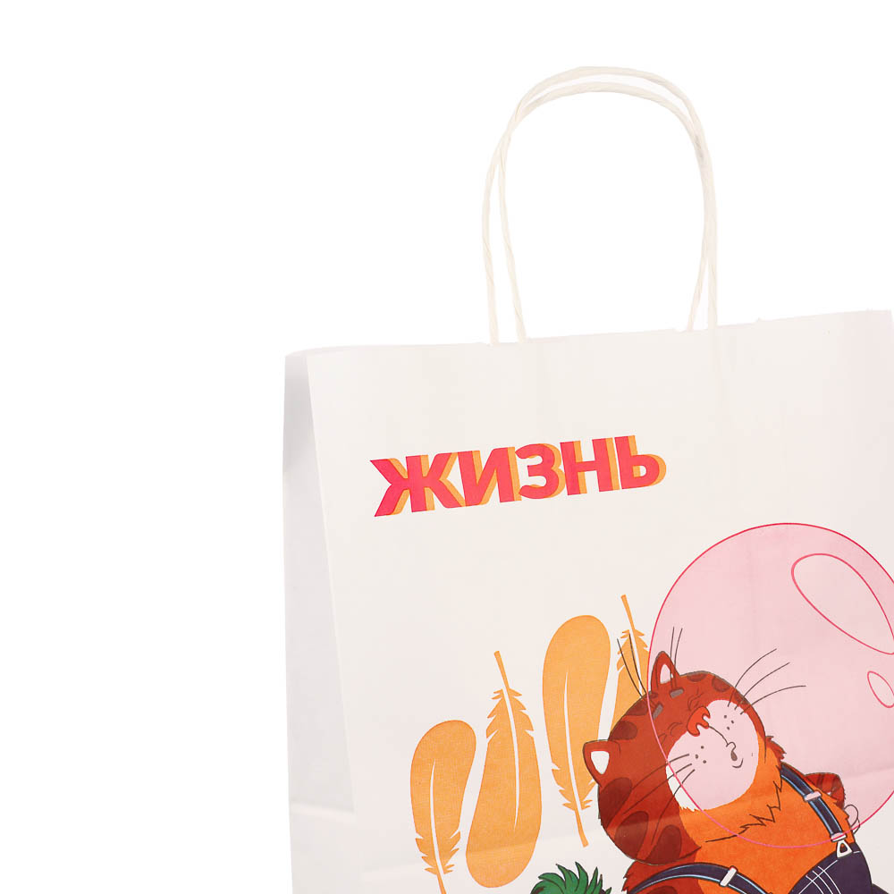 Пакет подарочный с кручеными ручками 24х14х30см, "Попугай Кеша. На чиле", в ассортименте - #6