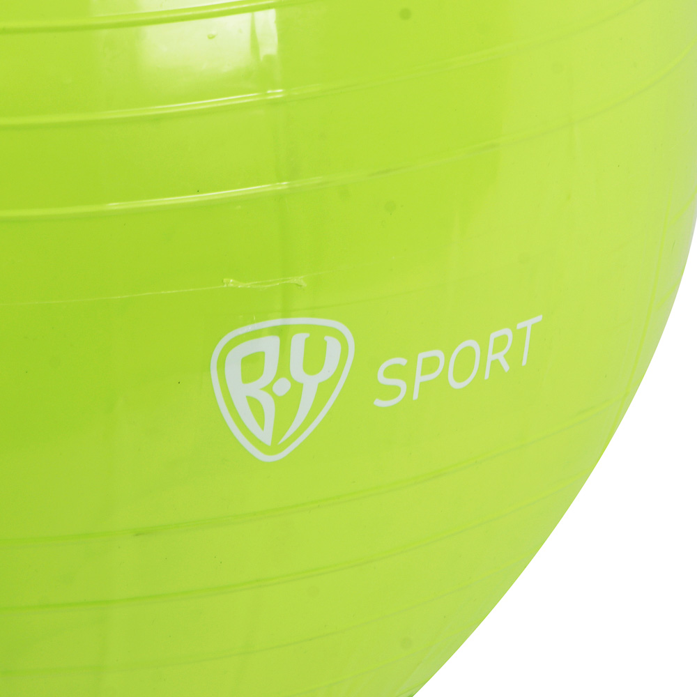 Фитбол тм BY SPORT, d=55см, ПВХ, 600г - #4