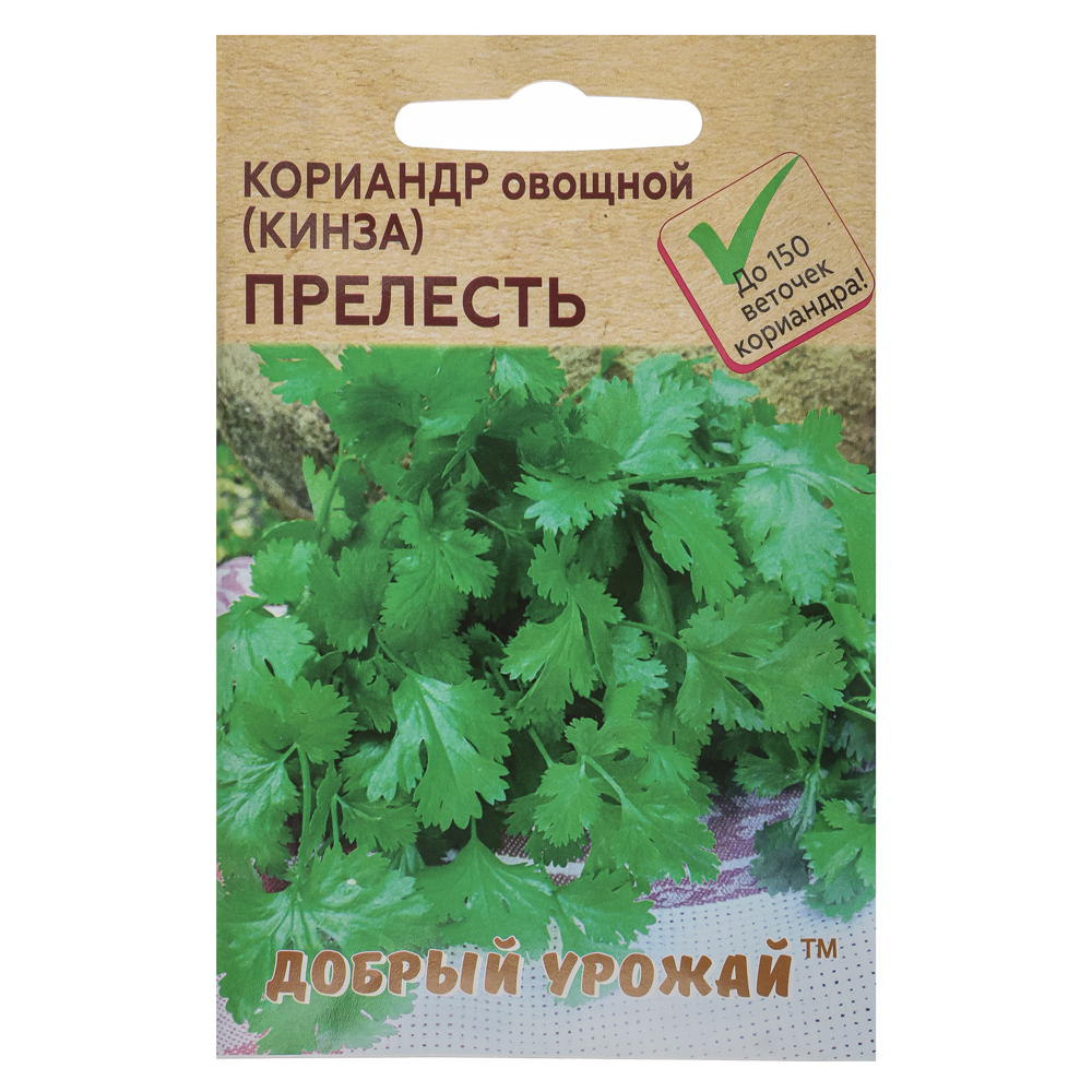 Кориандр овощной (кинза) Прелесть 1 гр - #1