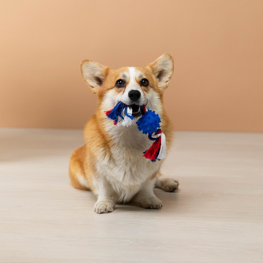 VETTA Игрушка для домашних животных, хлопок, ПВХ, 27 см - #13