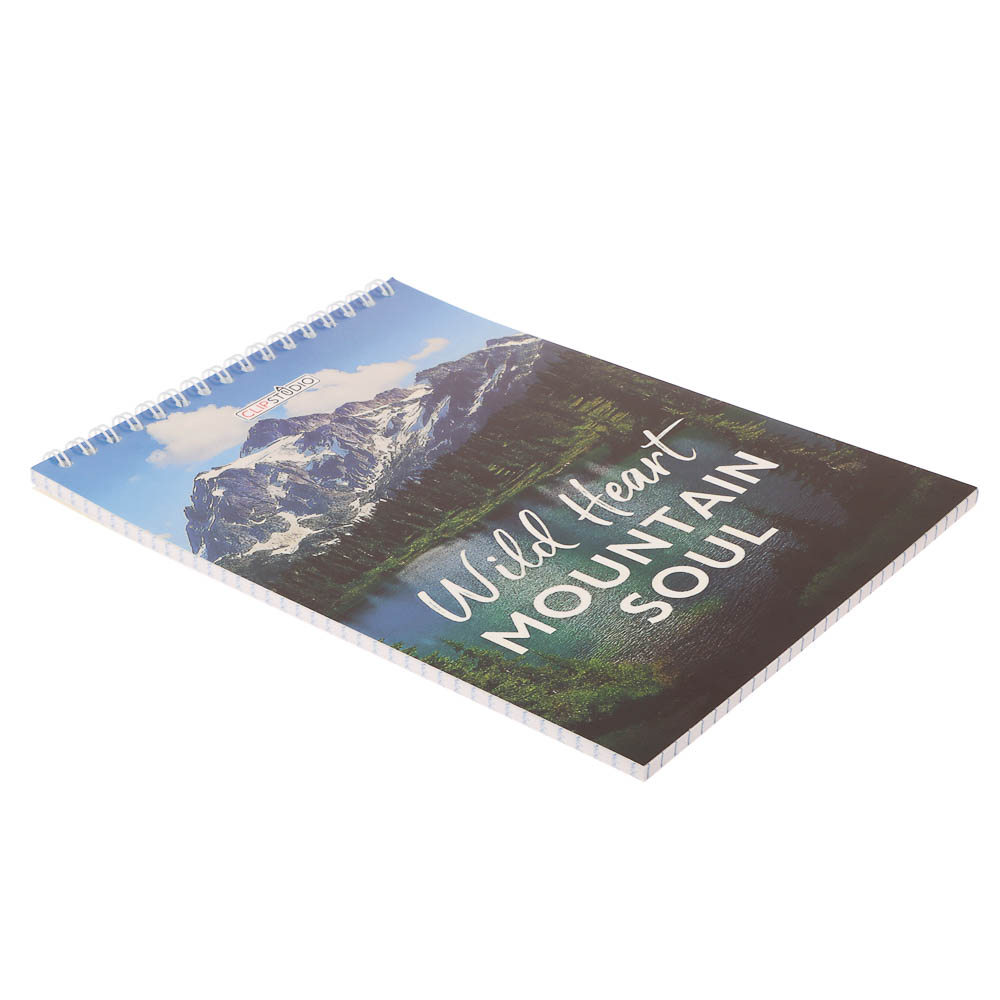 Блокнот А5, 40 листов, офсет, обложка картон, спираль, в клетку, 4 диз. - #3