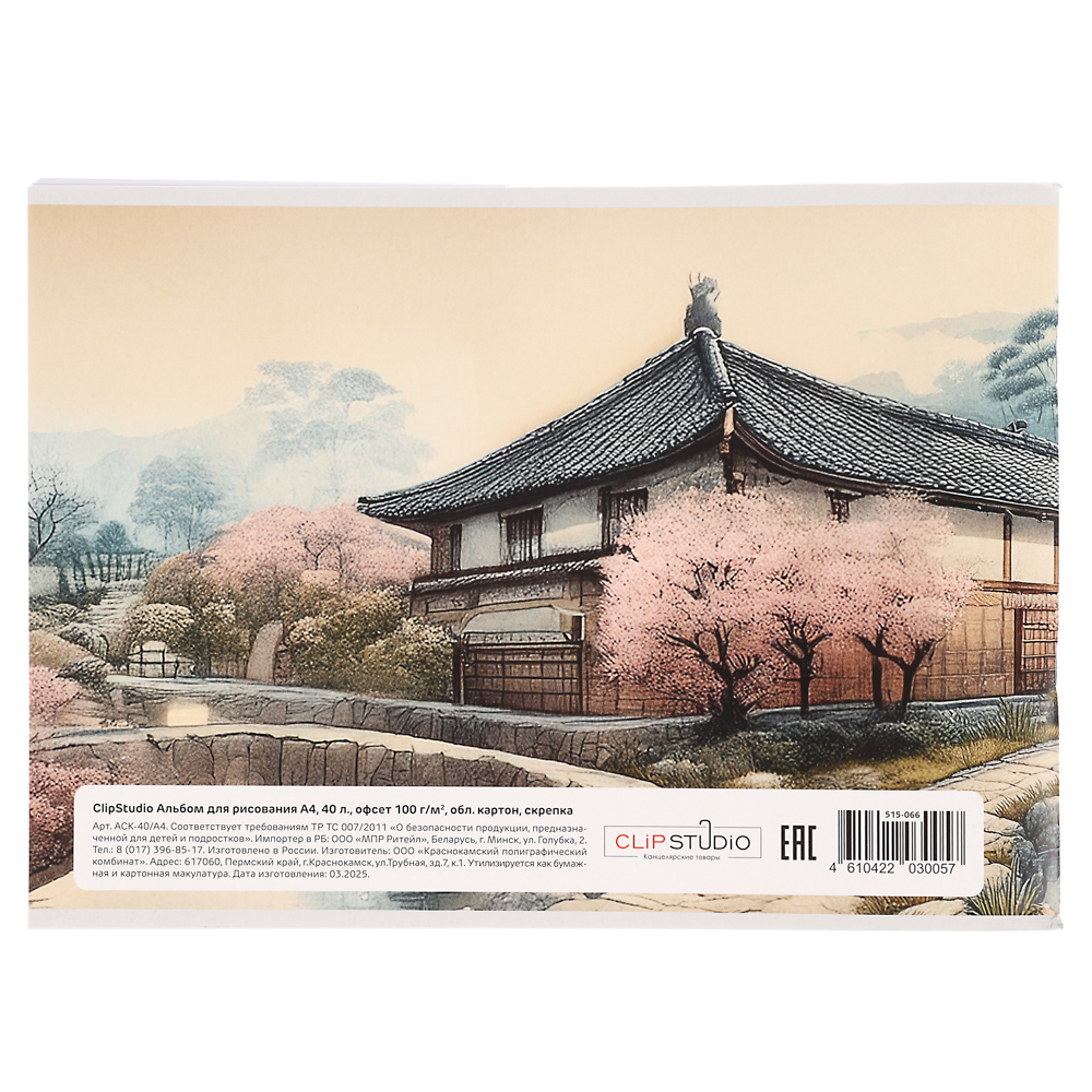 ClipStudio Альбом для рисования A4 40л., офсет 90г/м2, обл. картон, скрепка, 4 дизайна - #5