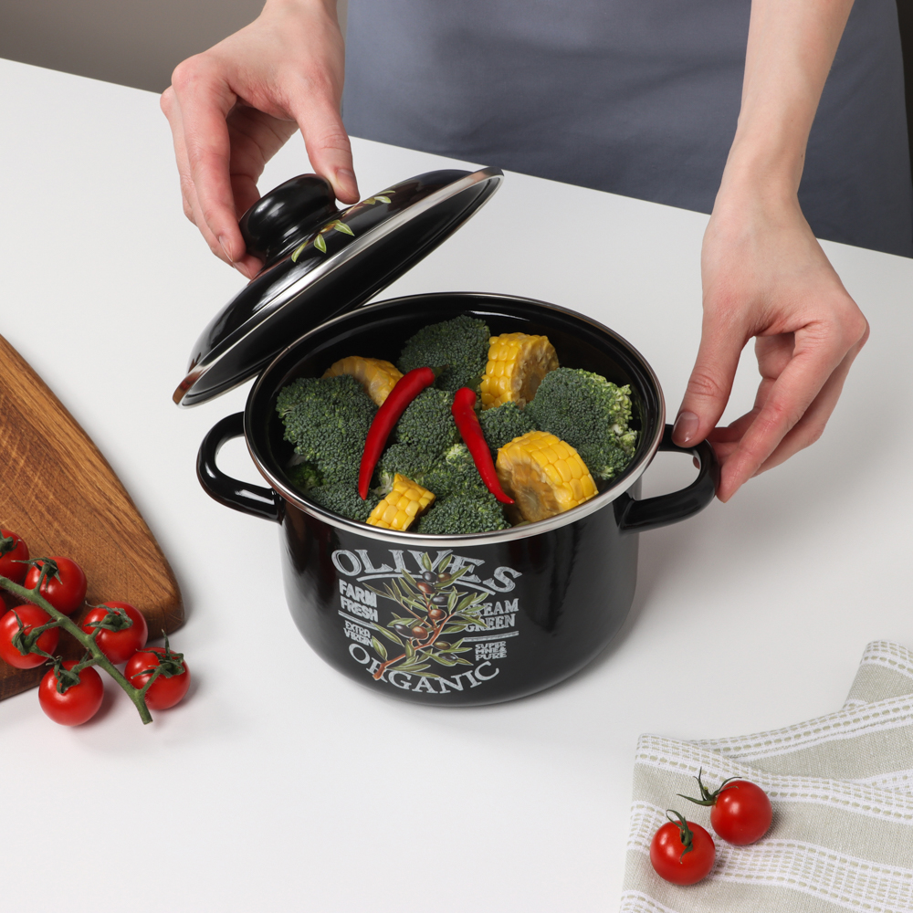 Ветка оливы Кастрюля эмалированная 2л - #7