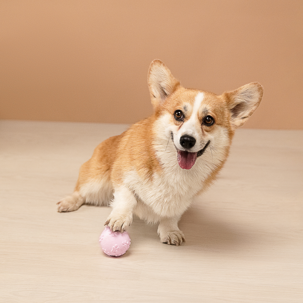 VETTA Игрушка для домашних животных, ТПР, 6,5 см, мяч - #11