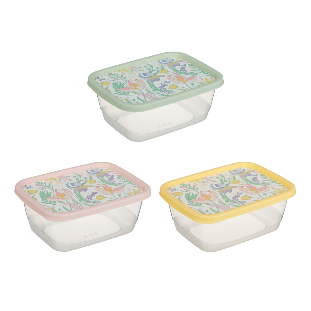 Ботаника Контейнер для продуктов прямоугольный 0,85л, пластик, 3 цвета - #1