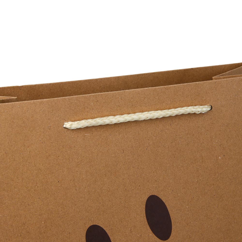 Пакет подарочный тм Fntastic, крафт, L 32x26x12см, бумага, 4 дизайна - #4