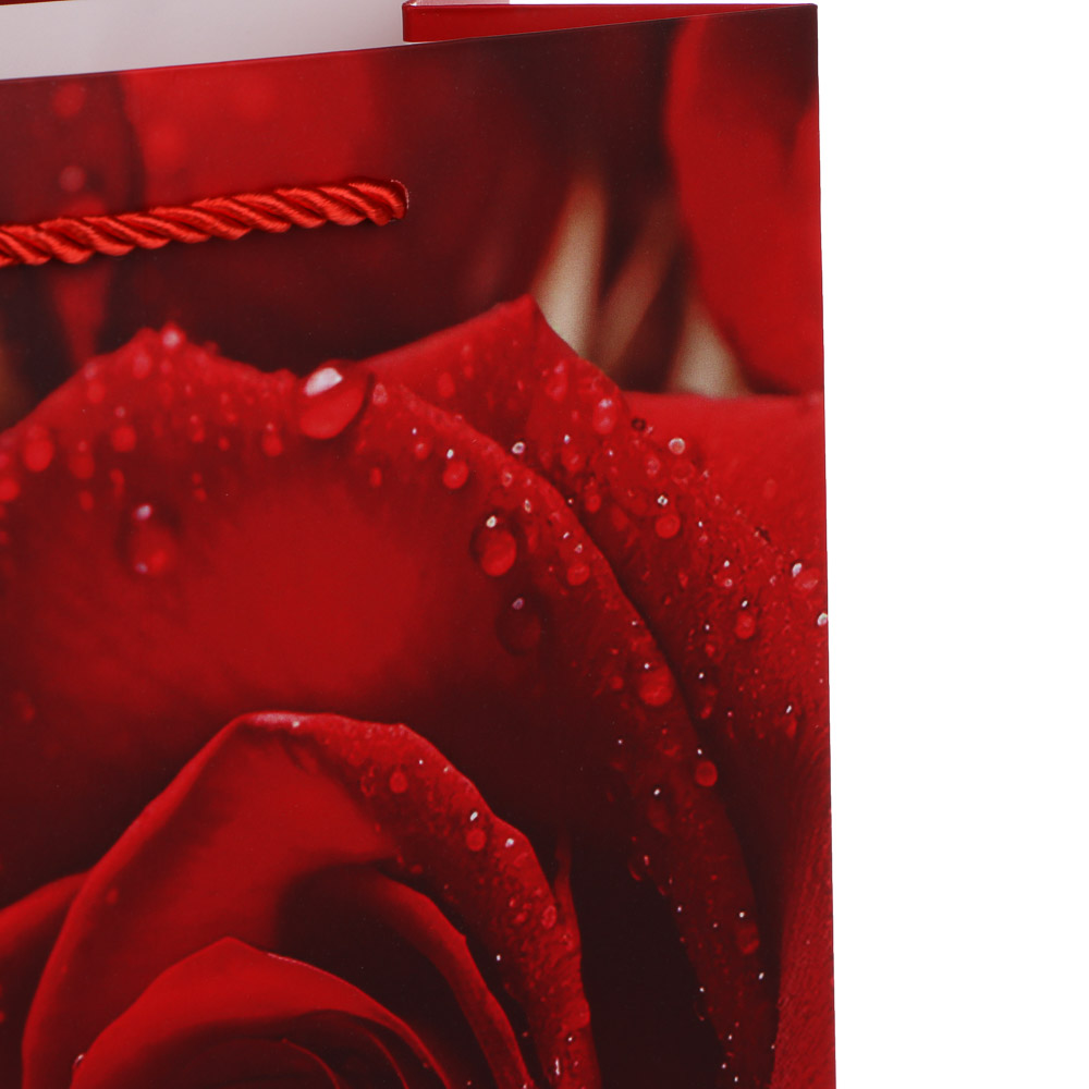 Пакет подарочный тм Fntastic M 18x23x10см, бумага, 4 дизайна, арт.7 - #3