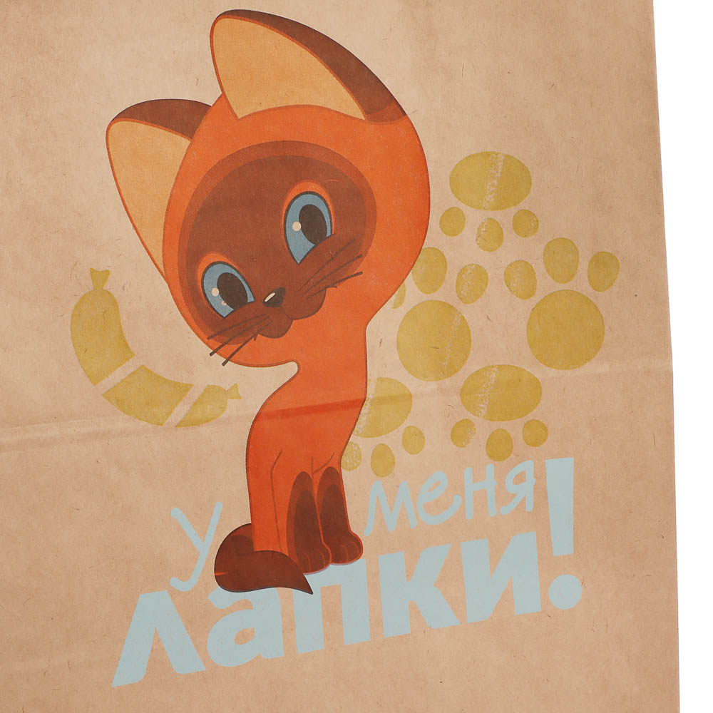 Пакет подарочный с кручеными ручками крафт 24х14х30см, "Котёнок по имени Гав. У меня лапки" в ассорт - #3