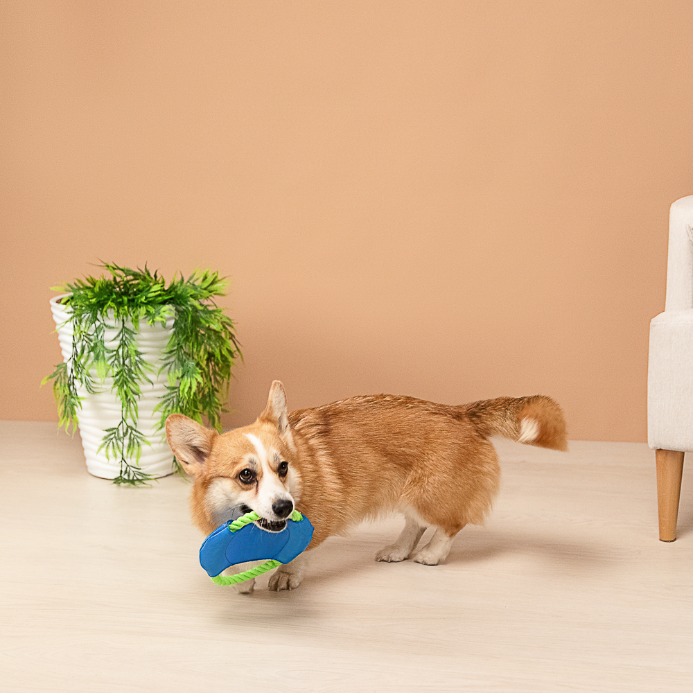 VETTA Игрушка для домашних животных, хлопок, ПЭ, 18 см - #8