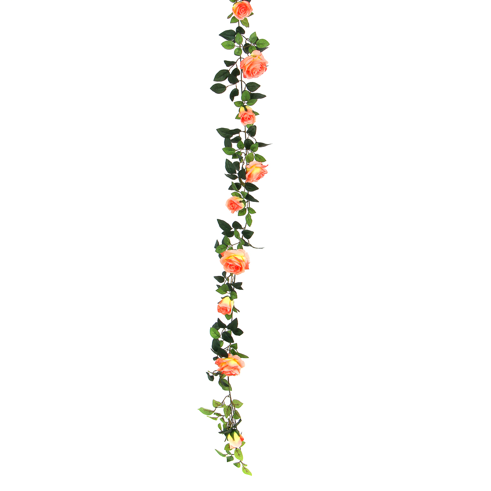Декоративное растение лиана с цветами - #5