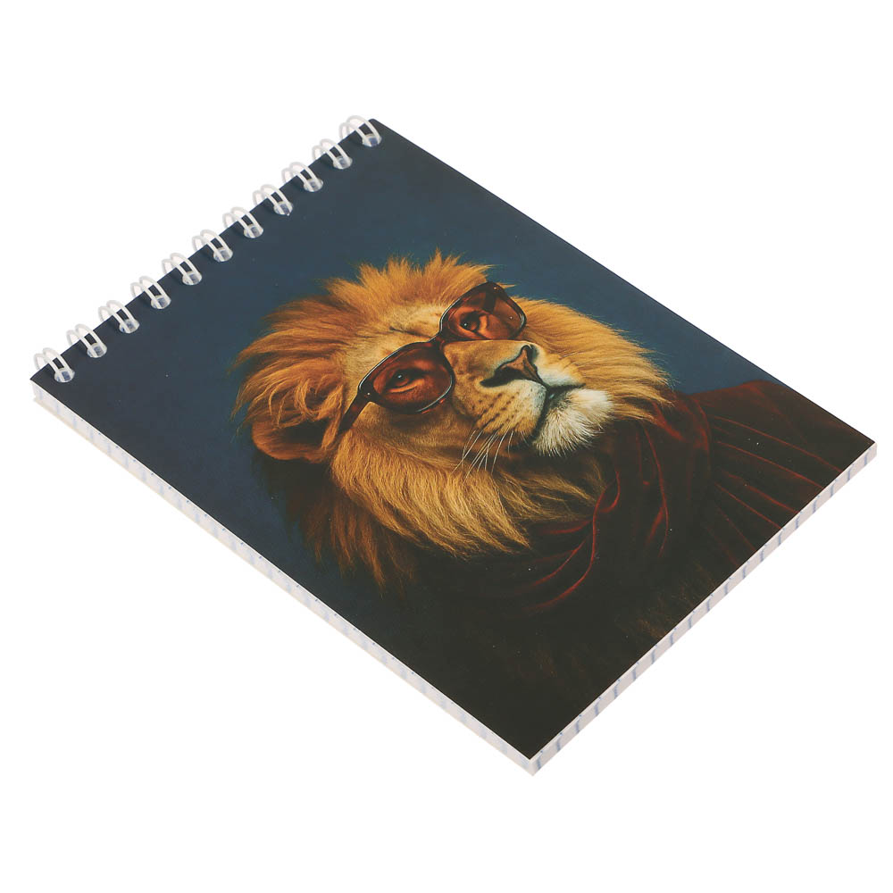 Блокнот А6, 40 листов, офсет, обложка картон, спираль, в клетку, 9 диз. - #8