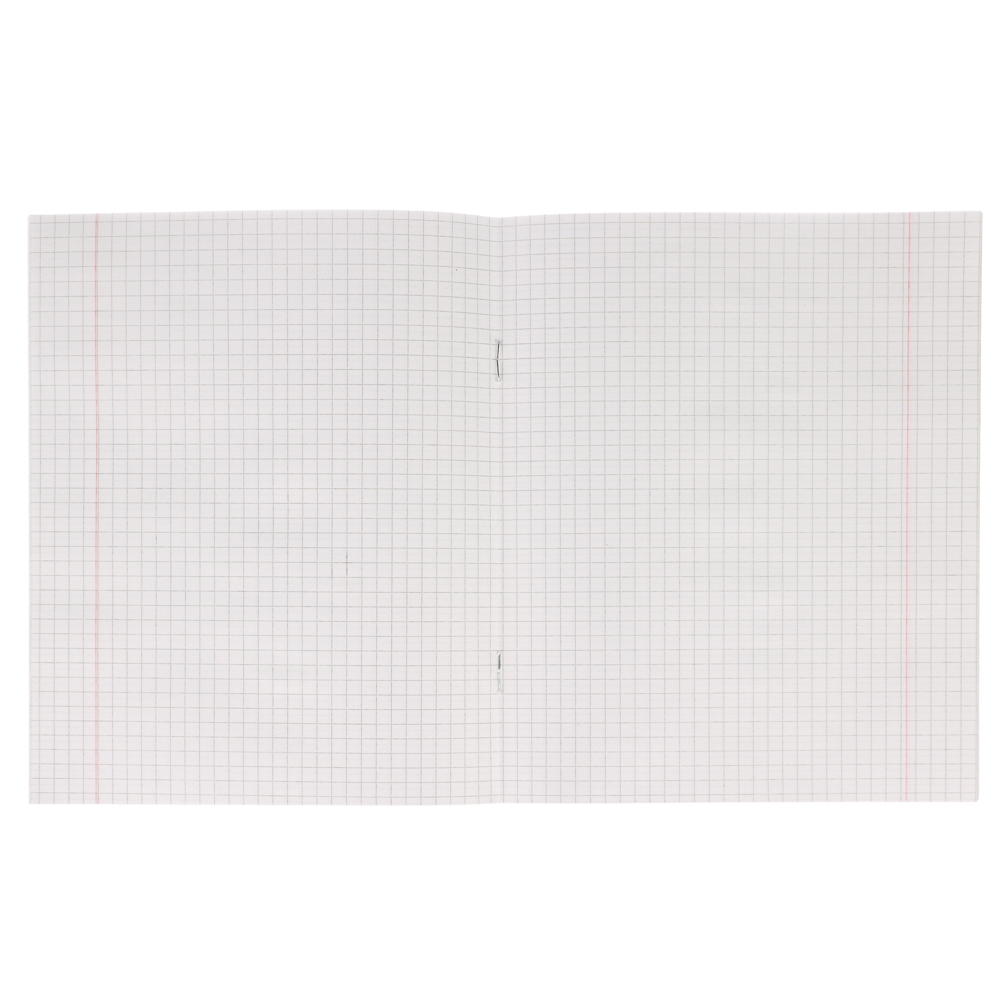 Тетрадь школьная 12л. в клетку, БЕЛЫЕ ЛИСТЫ обложка плотный офсет 115 гр "Пятерка" - #4