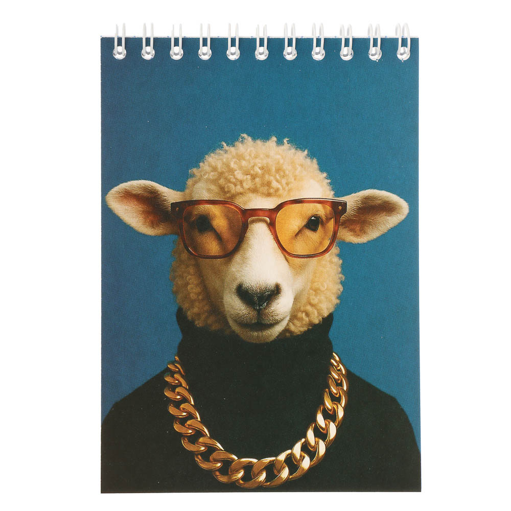 Блокнот А6, 40 листов, офсет, обложка картон, спираль, в клетку, 9 диз. - #13