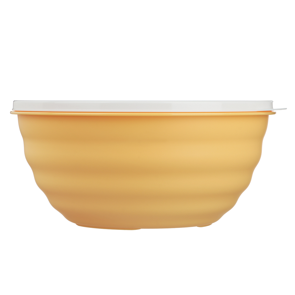 Ботаника Миска Latina 2,1л с крышкой, пластик, 3 цвета - #4