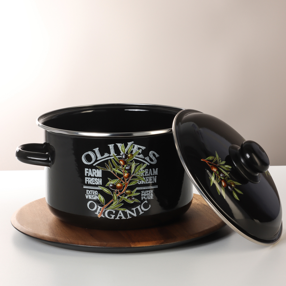 Ветка оливы Кастрюля эмалированная 4л - #6