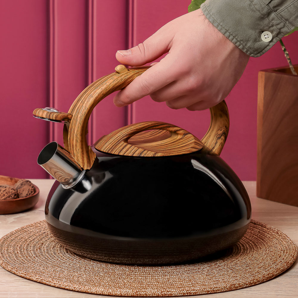 VETTA Чайник стальной 2,8л "Лоренцо", индукция - #14