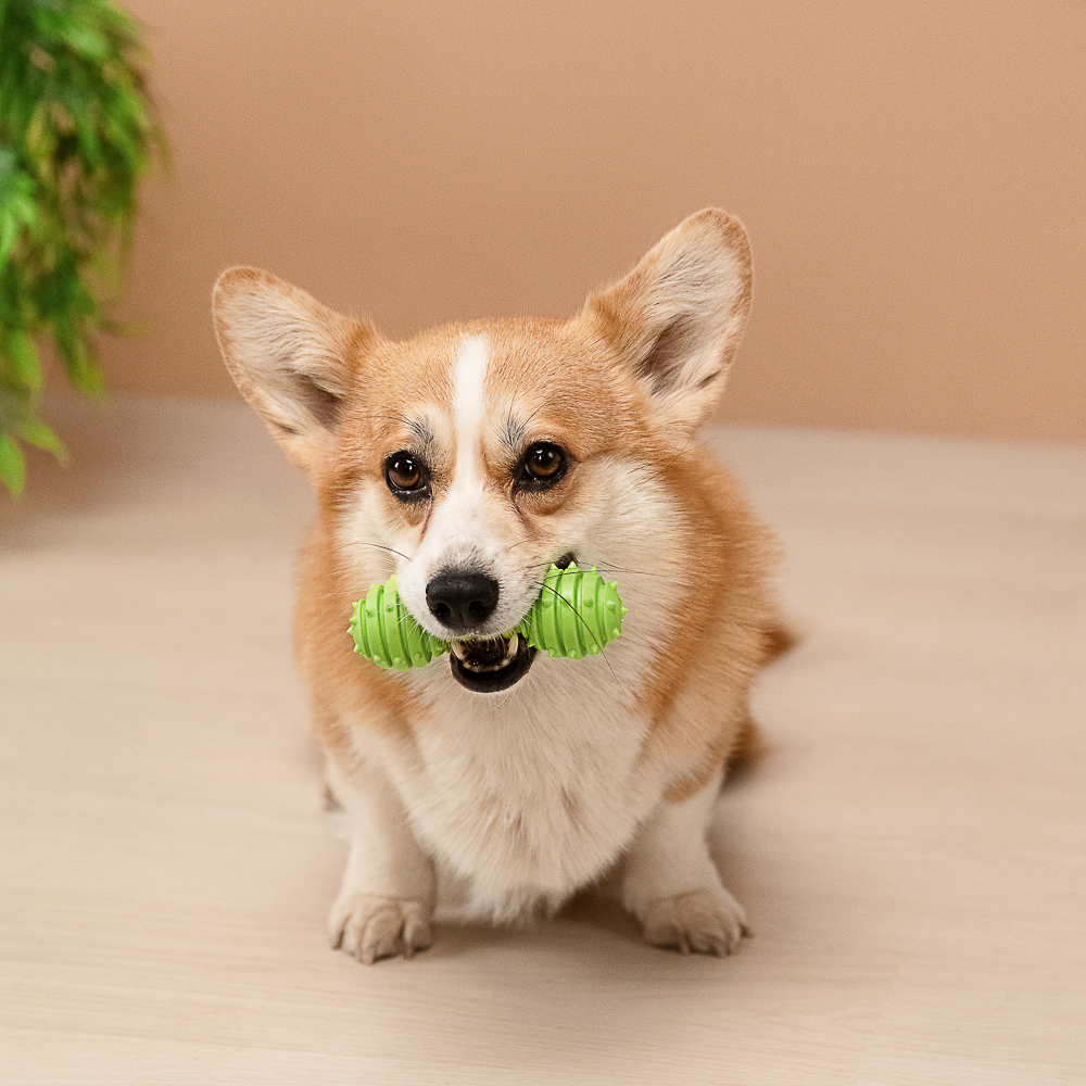 VETTA Игрушка для домашних животных, ТПР, 12х4 см, кость - #10