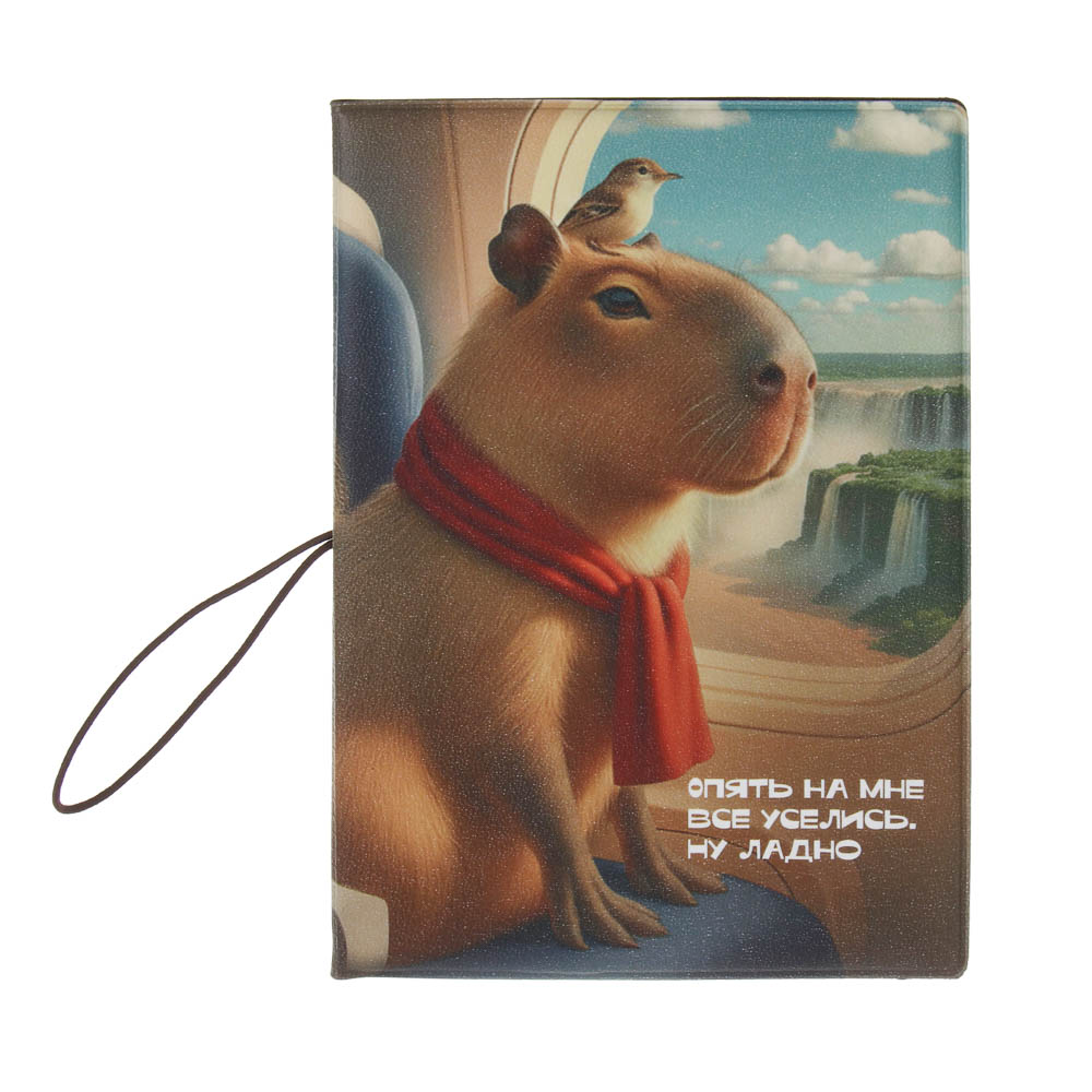 Обложка для паспорта тм ЮL с отд.для карт и удерживающей резинкой, ПВХ, 13,7х9,6см, 6 дизайнов, #3 - #2