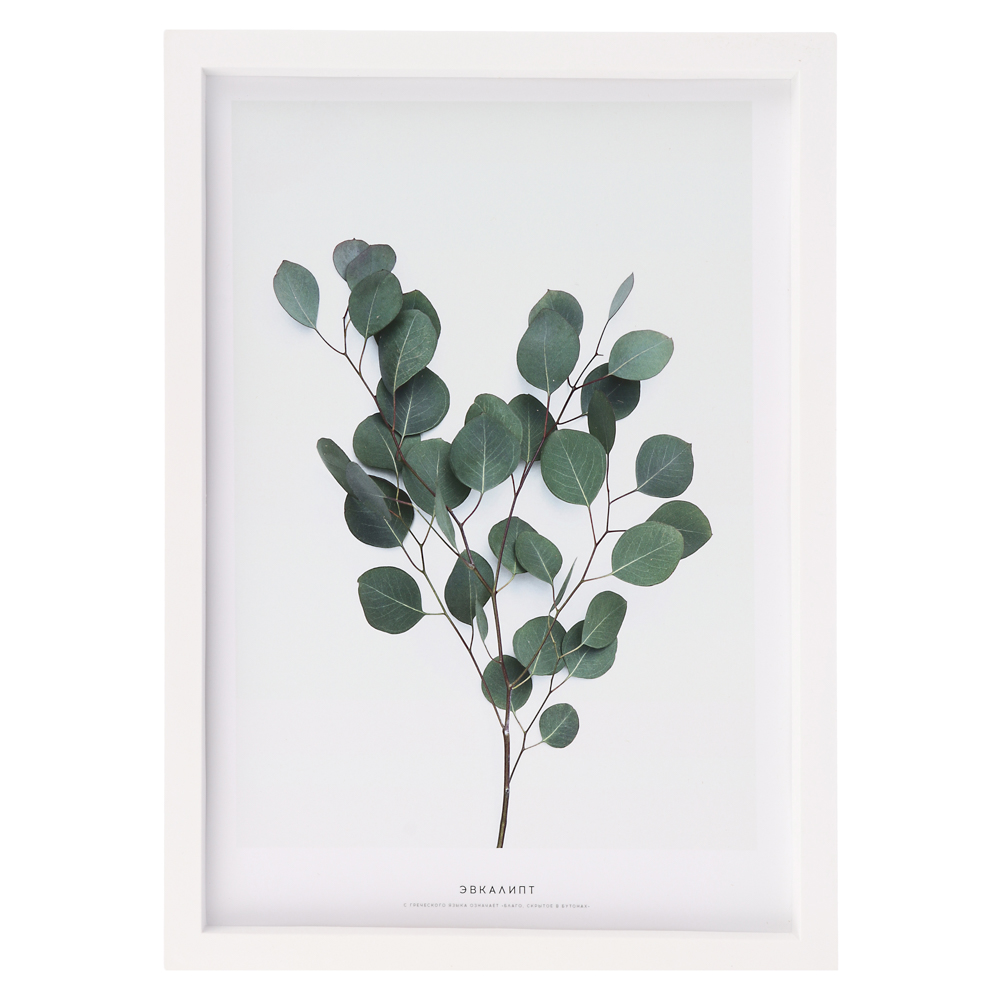 Постер 21x30 см, пластик, в ассортименте - #7