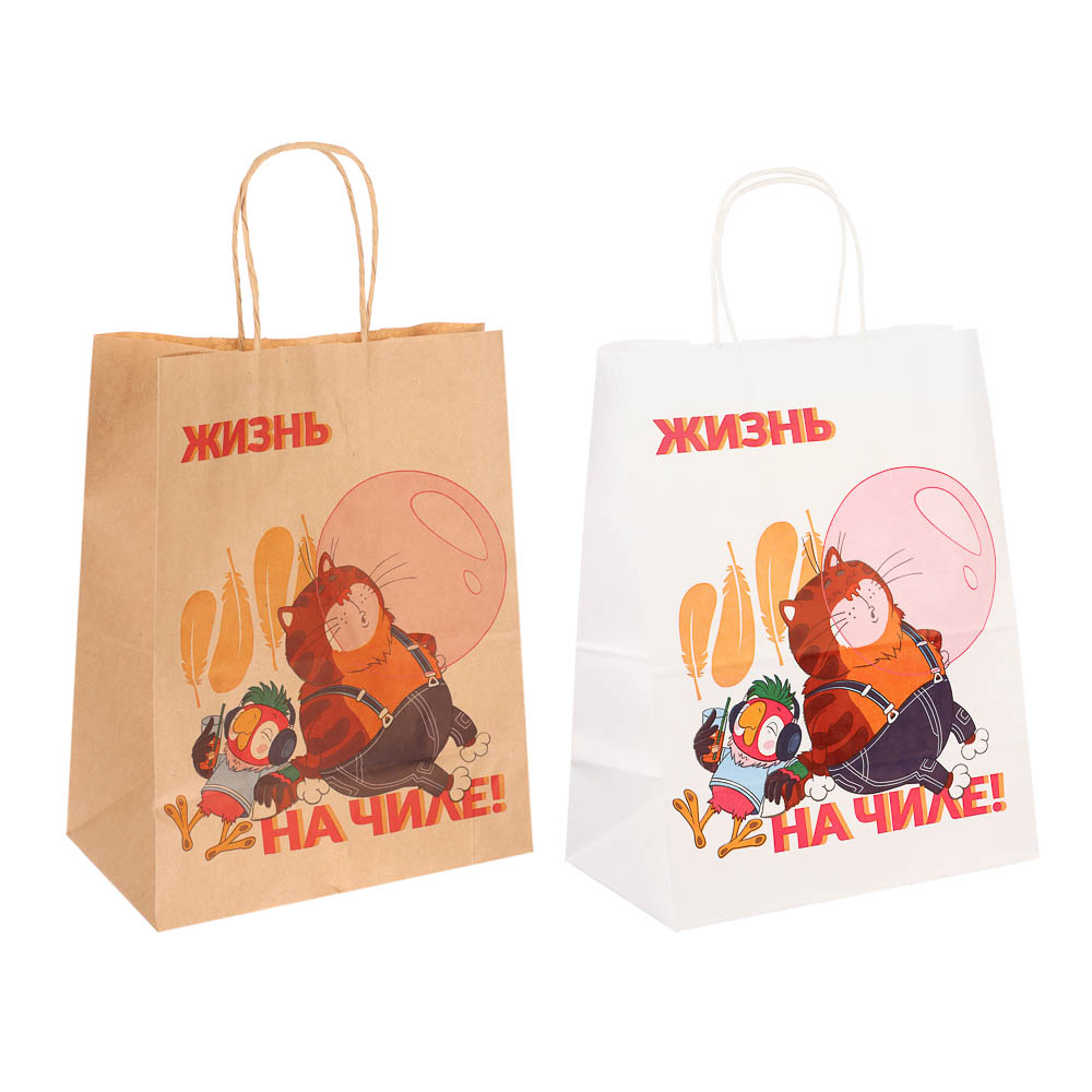 Пакет подарочный с кручеными ручками 24х14х30см, "Попугай Кеша. На чиле", в ассортименте - #1