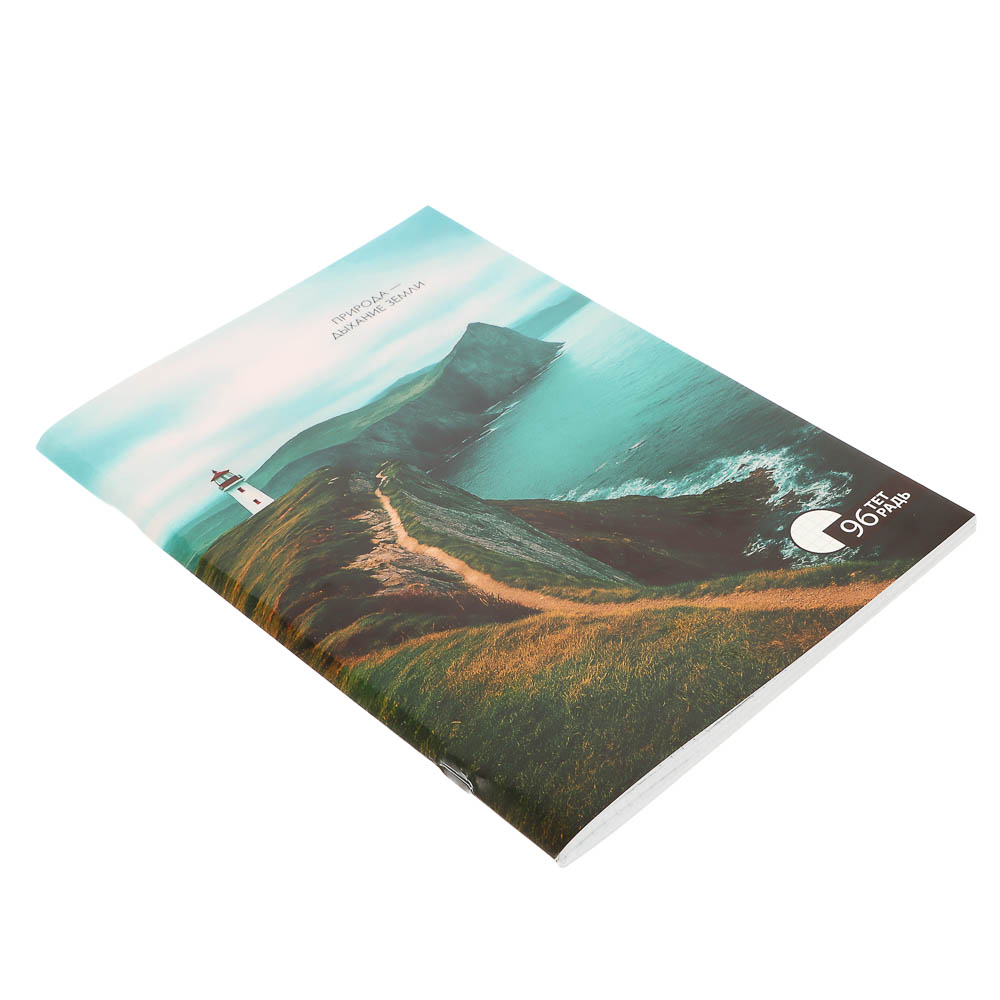 ClipStudio Тетрадь общая А4, 96 листов, в клетку, БЕЛЫЕ ЛИСТЫ, обложка картон, скрепка, 4 диз - #13