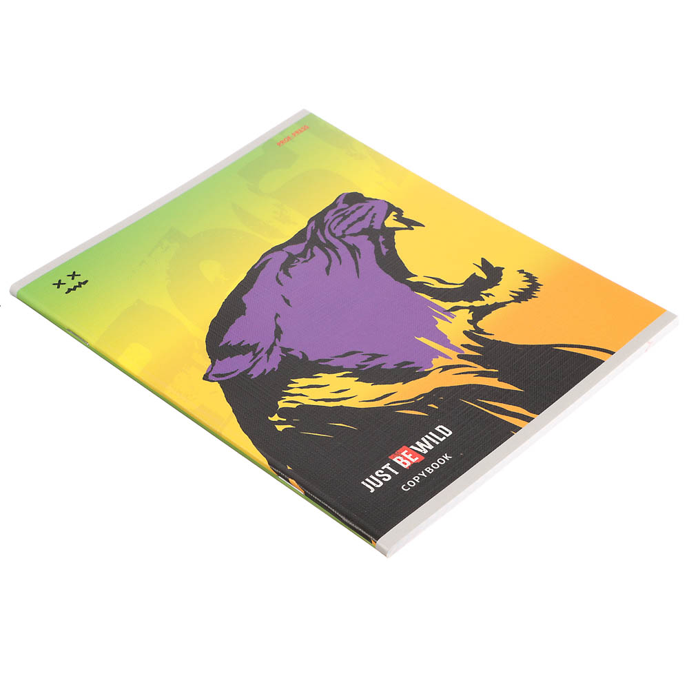 Тетрадь 48л. в клетку, офсет, обл. мел.картон, скрепка, твин лак, микс - #9