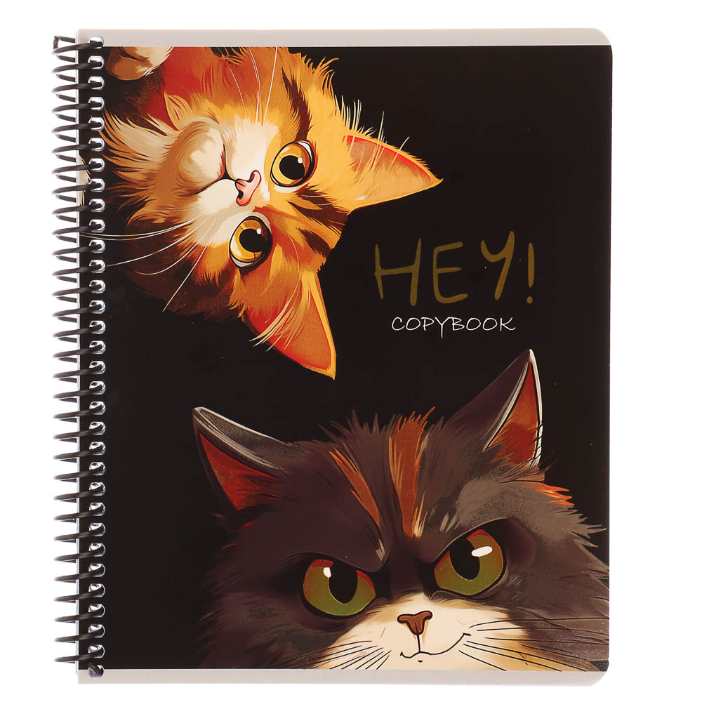 Тетрадь общая, 96 листов, в клетку, БЕЛЫЕ ЛИСТЫ, обл.мел. картон, спираль, микс - #9