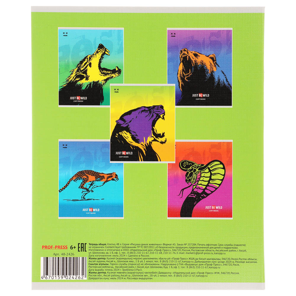 Тетрадь 48л. в клетку, офсет, обл. мел.картон, скрепка, твин лак, микс - #11