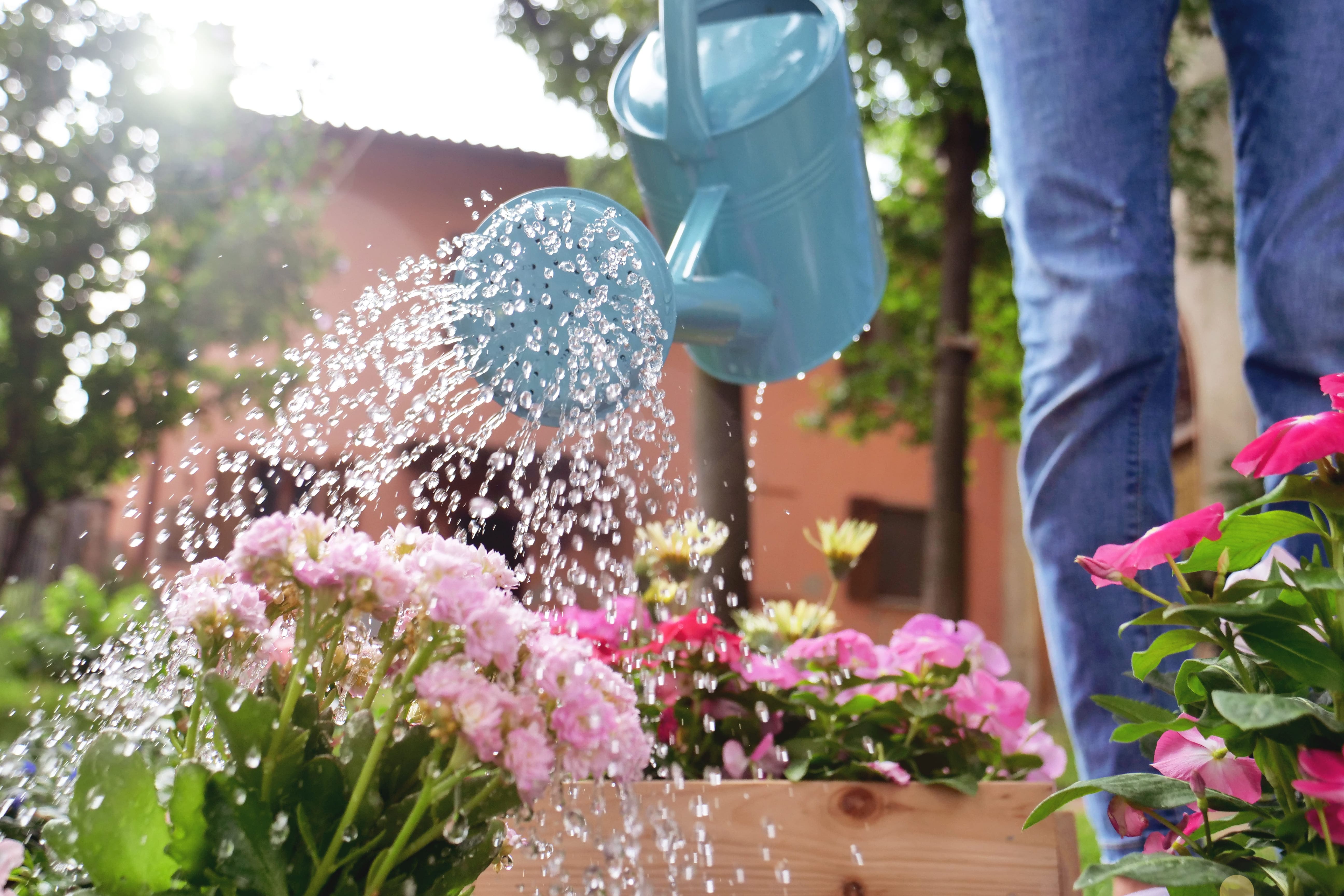 Water the flowers. Моется из лейки. Лейка в снегу. Хрустальный дождь из лейки. Outdoor watering the Flowers.