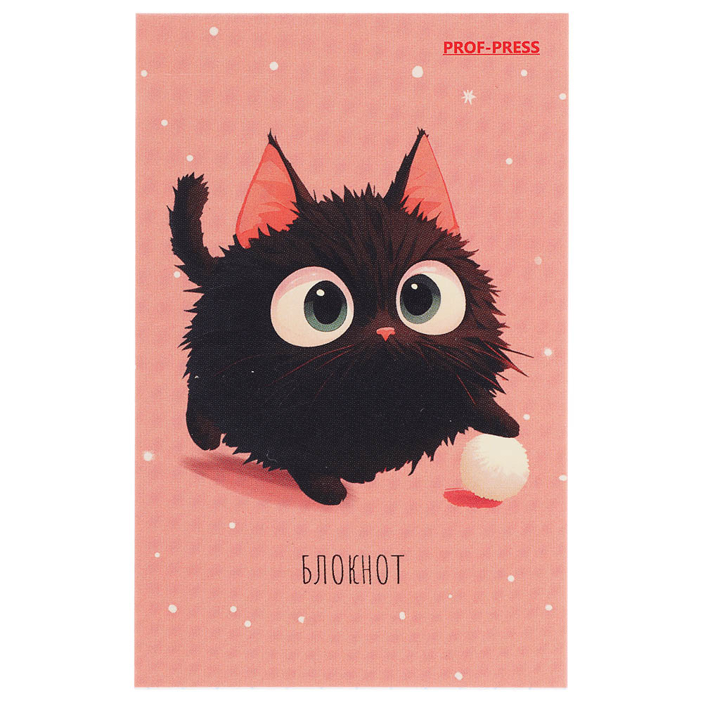 Блокнот А7, 48л, офсет, обложка картон, склейка, в ассортименте - #12