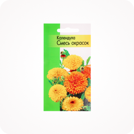 Новости смотреть все