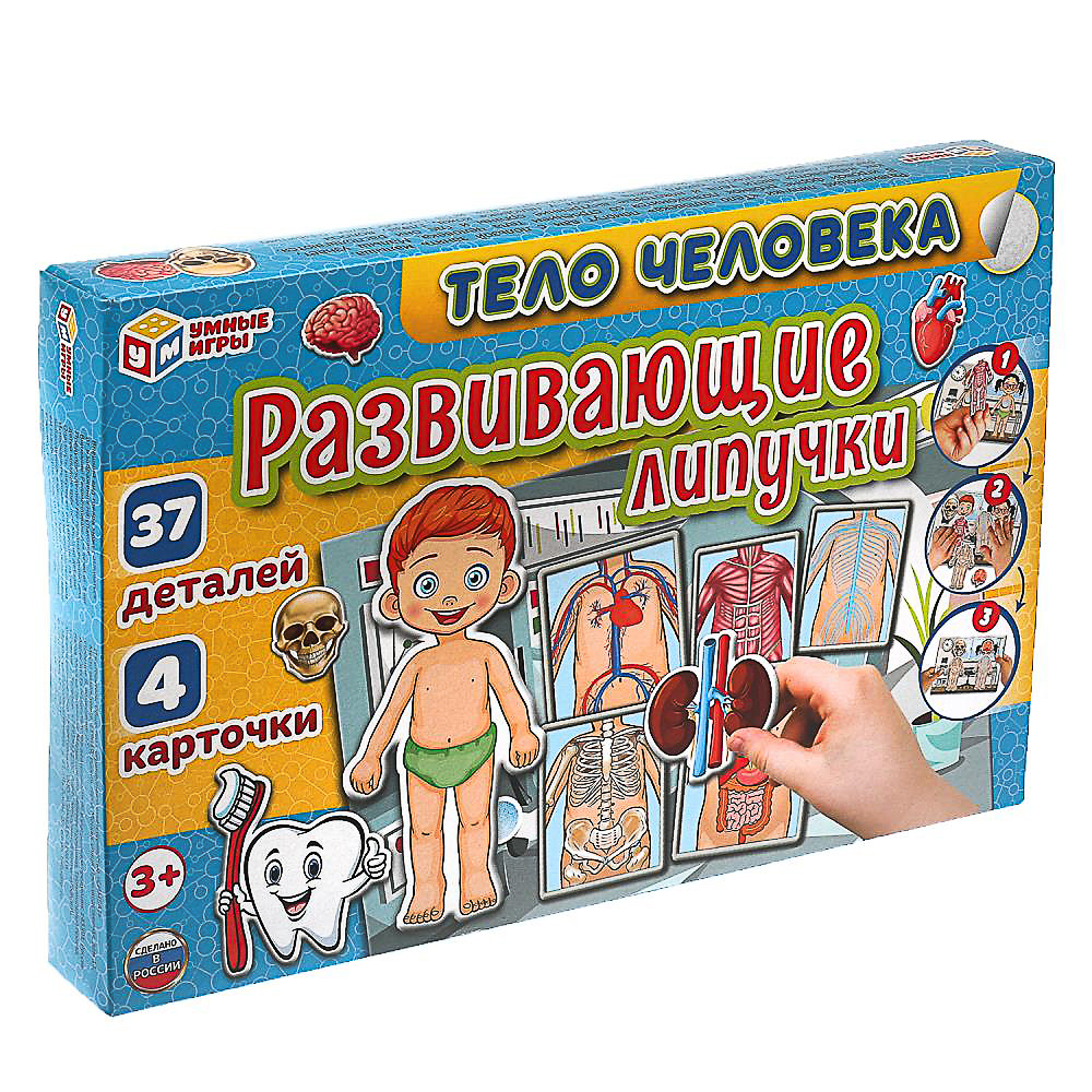 УМКА Развивающая игра "Липучки. Тело человека", в коробке, 28,5x19х3,5см - #5