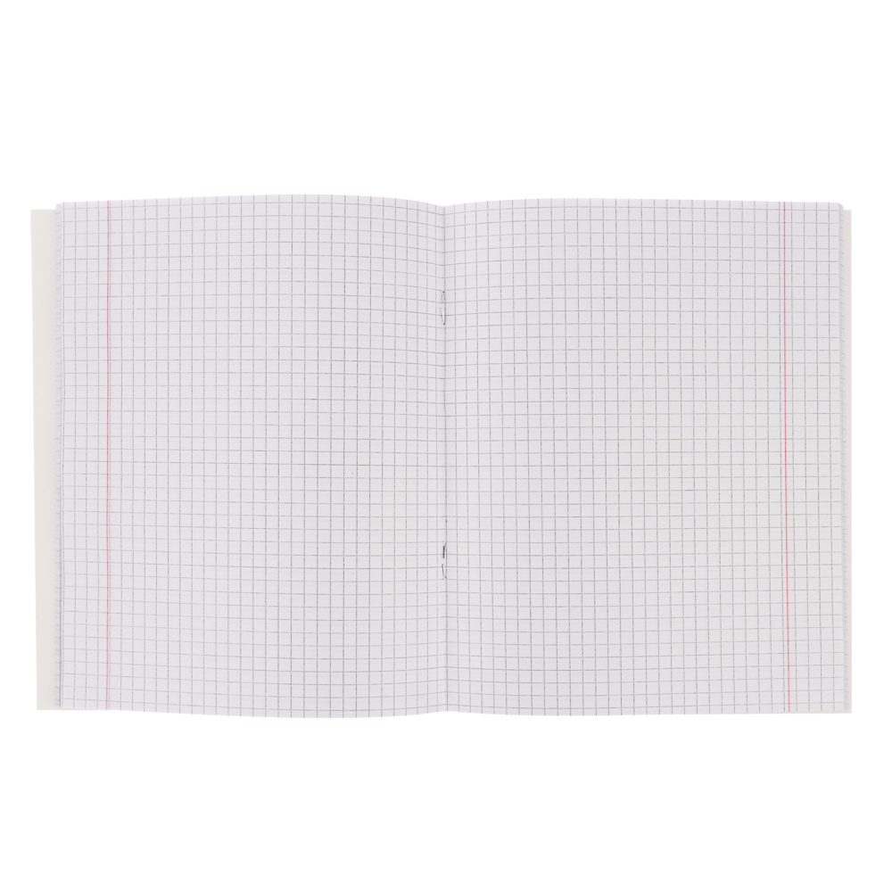 ClipStudio Тетрадь 48л. "Предметная", БЕЛЫЕ ЛИСТЫ, обл.картон, скрепка, 7 видов, справ.мат-л - #14