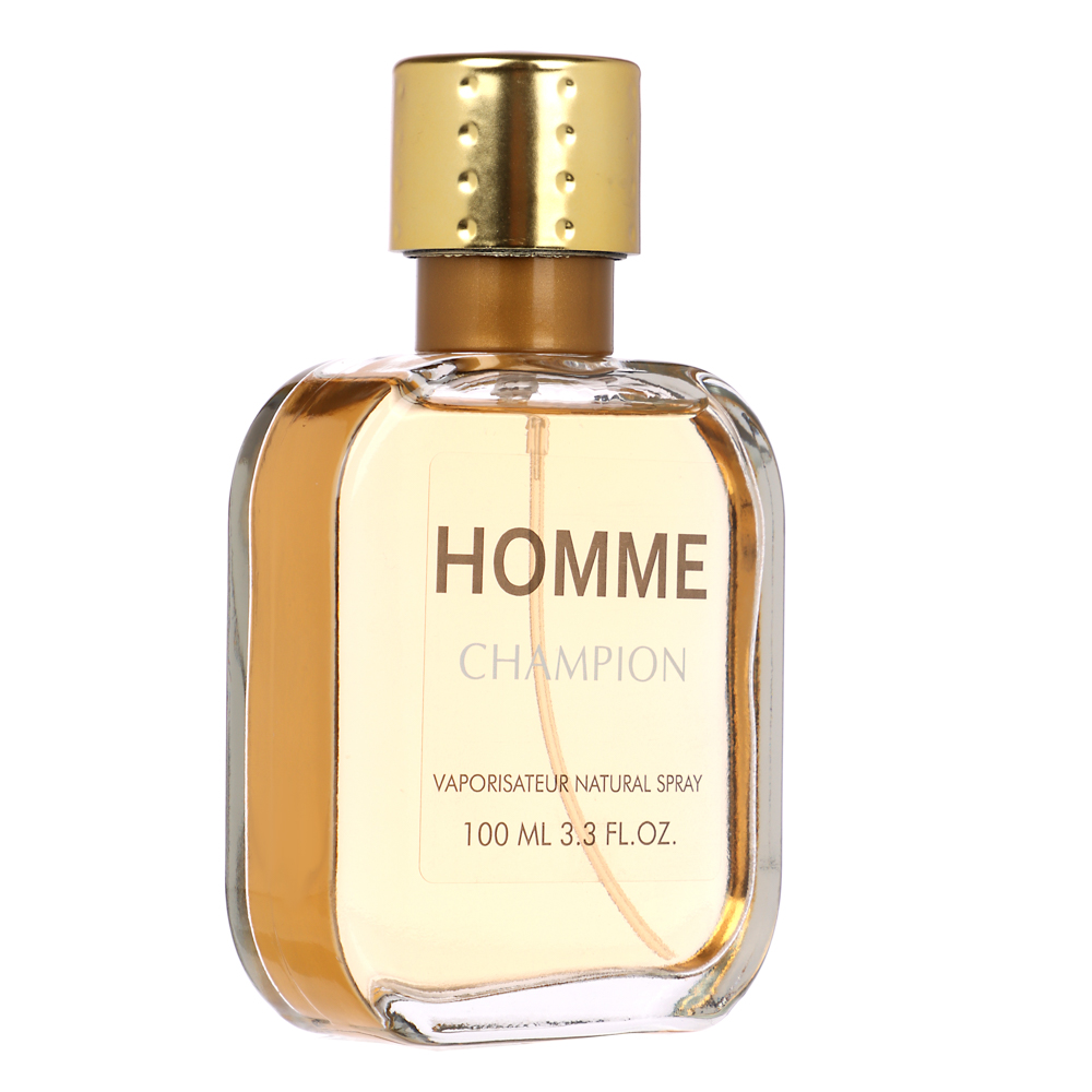 Парфюмерная вода мужская Homme Sport Classic (Хомме Спорт Классик) 4 вида, 100 мл - #4