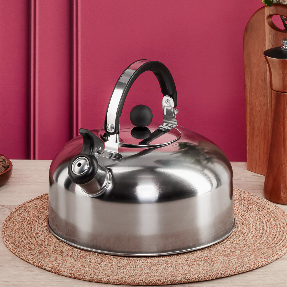 Чайник стальной 2,5л индукция - #8