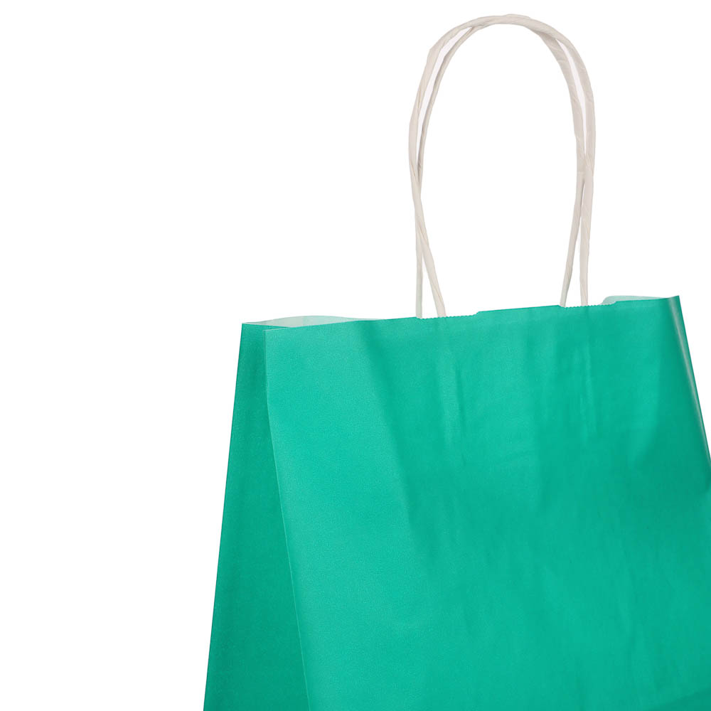 Пакет подарочный с кручеными ручками 24x14x30см, 2 цвета: розовый/зеленый в асс - #4