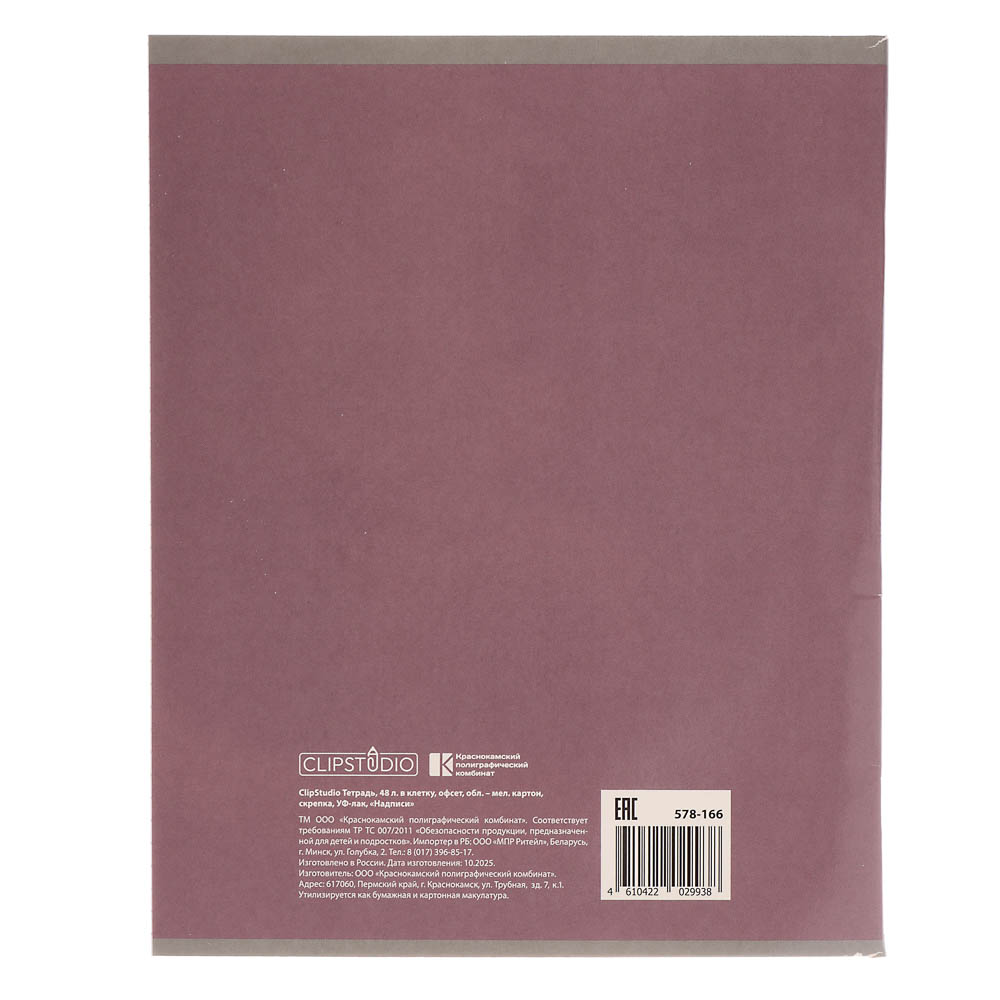 ClipStudio Тетрадь 48л. в клетку, офсет, обл. мел.картон, скрепка, УФ-лак, "Надписи" 4 диз. - #13