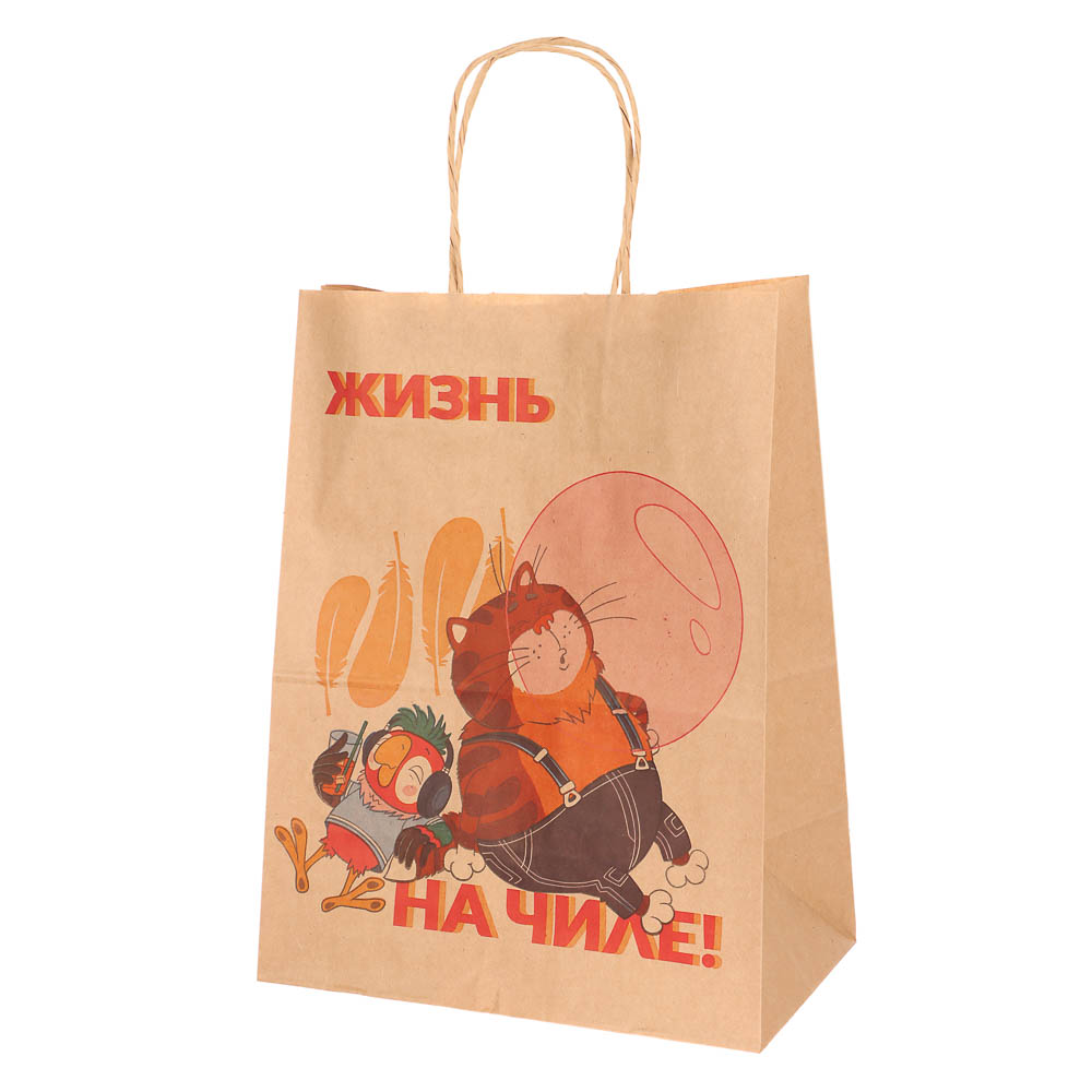 Пакет подарочный с кручеными ручками 24х14х30см, "Попугай Кеша. На чиле", в ассортименте - #4