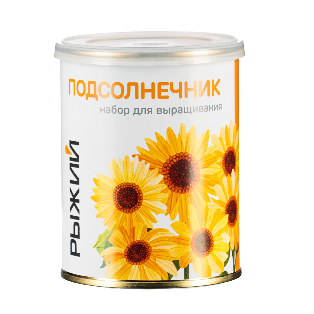 РЫЖИЙ Набор для выращивания Подсолнечник - #1