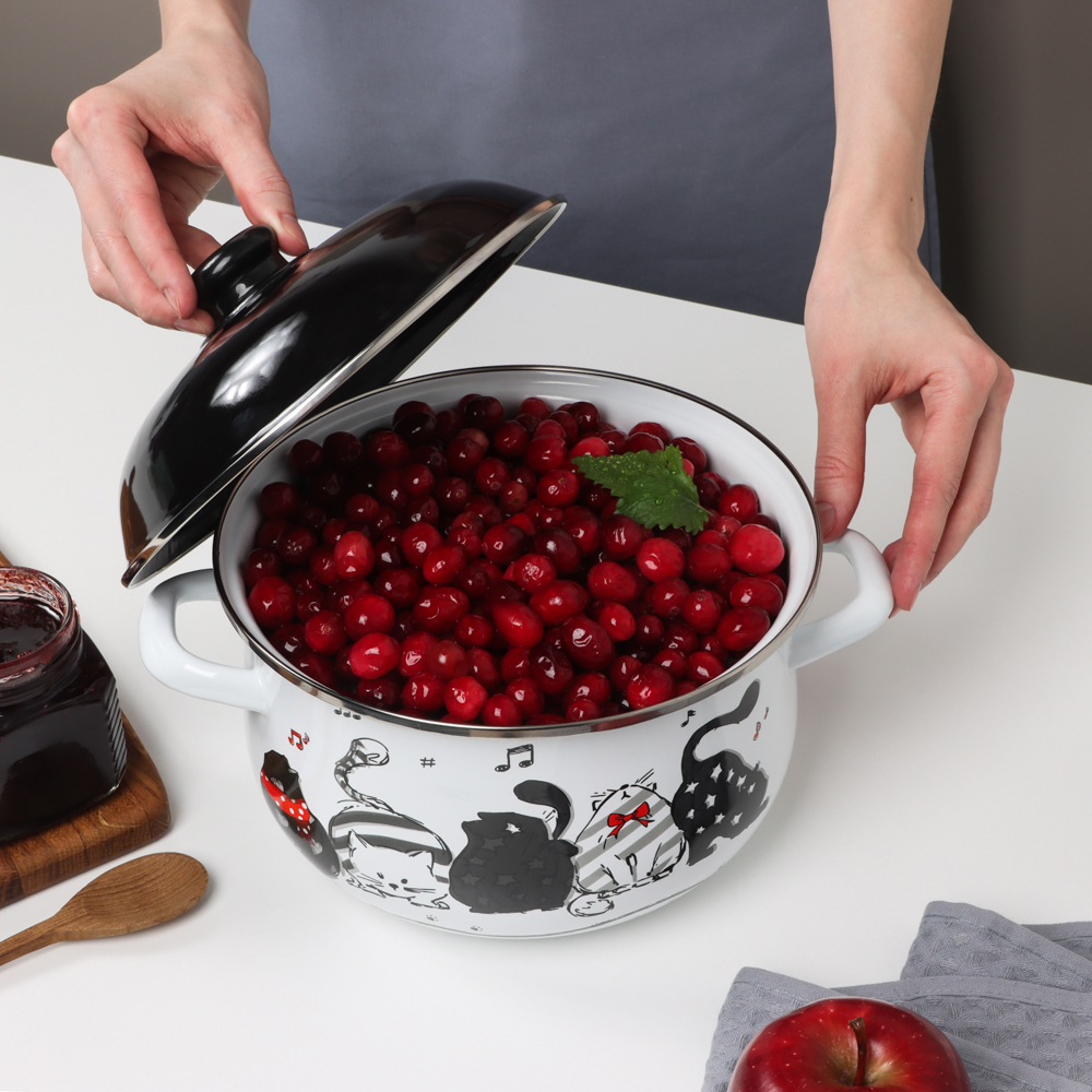 VETTA Хвостатые друзья Кастрюля эмалированная, 22см, 3,6л, индукция - #9